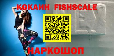 крисы Кулебаки