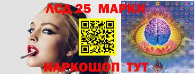 крисы Кулебаки