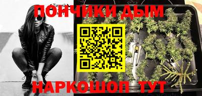 крисы Кулебаки