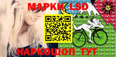 крисы Кулебаки