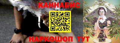 крисы Кулебаки