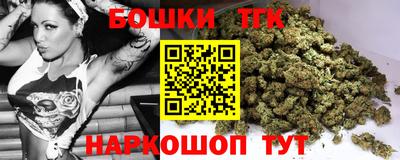 крисы Кулебаки