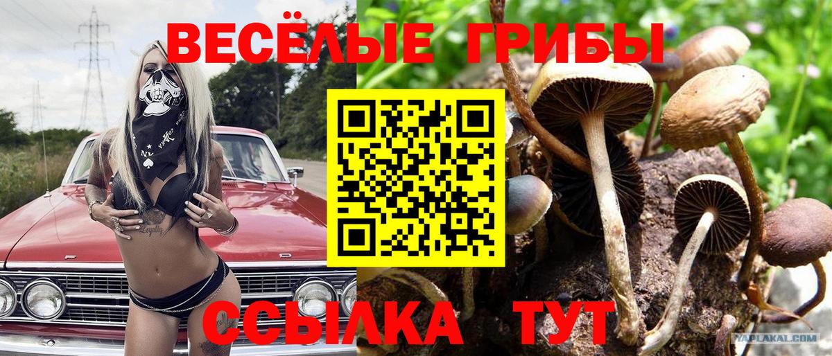 Галлюциногенные грибы мухоморы  Псилоцибиновые грибы Psilocybine cubensis  Фрязино  Вход с VPN 
